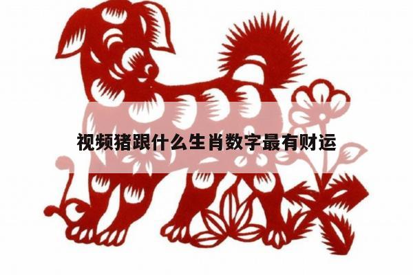 视频猪跟什么生肖数字最有财运